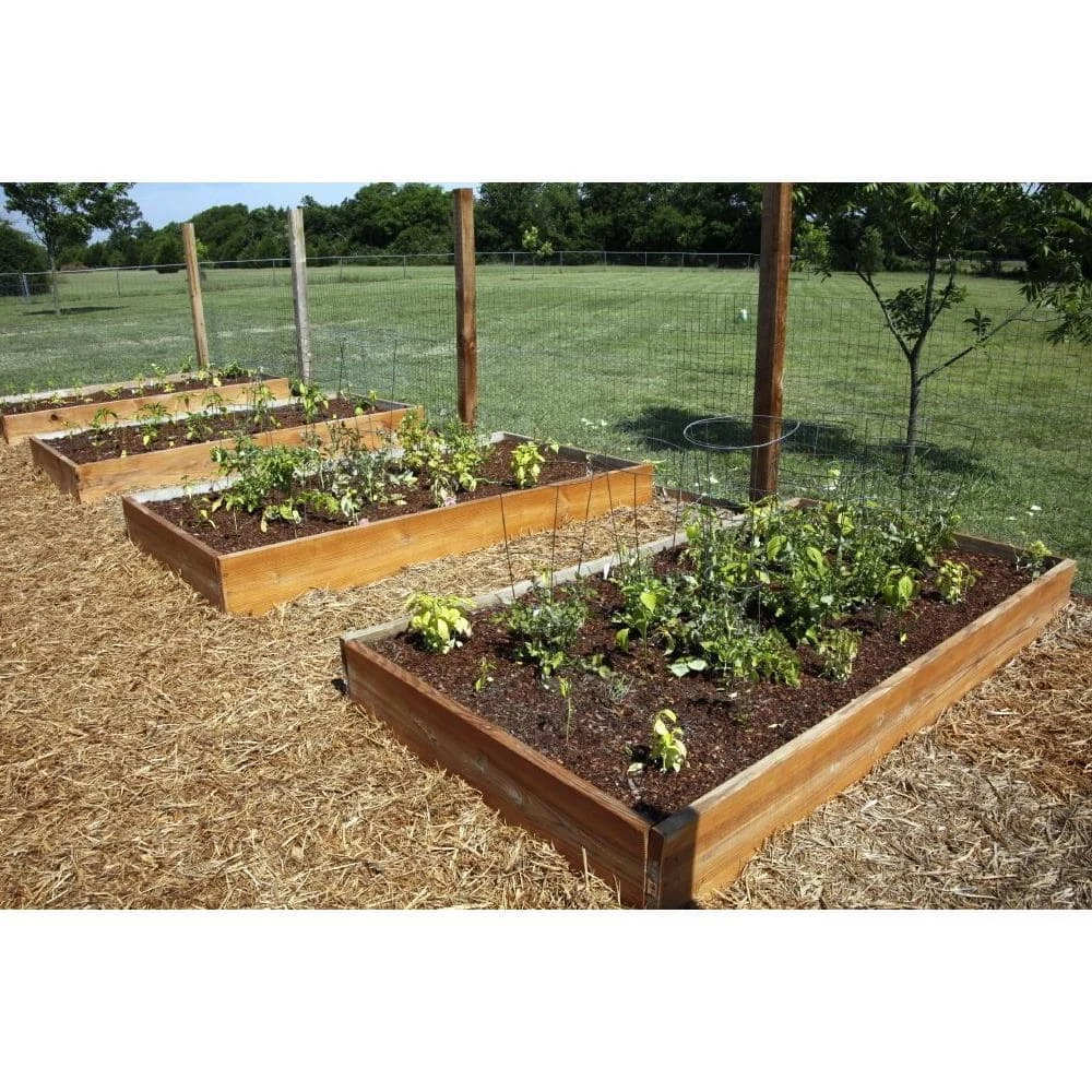 Grip-Rite #9 x 4 in. 20-Penny Hot-Galvanized Box Nails (5 lb.-Pack) 4 Grip-Rite #9 x 4 in. 20-Penny Hot-Galvanized Box Nails (5 lb.-Pack) - Image 4