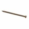 Grip-Rite #16-1/2 x 1 in. Medium Brown Steel Panel Board Nails (6 oz. Pack)