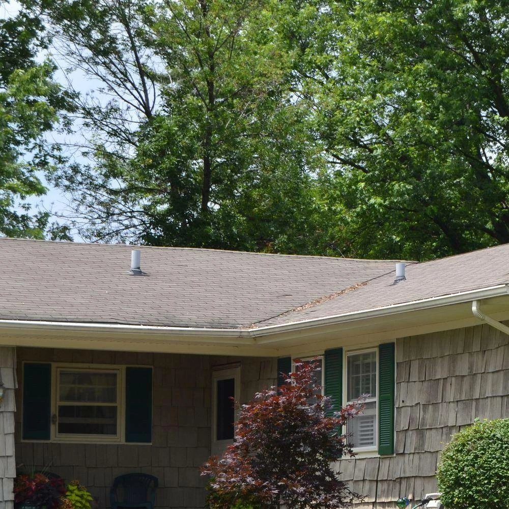 Grip-Rite #11 x 1-1/2 in. Electro-Galvanized Steel Roofing Nails (50 lb.-Pack) 5 Grip-Rite #11 x 1-1/2 in. Electro-Galvanized Steel Roofing Nails (50 lb.-Pack) - Image 5